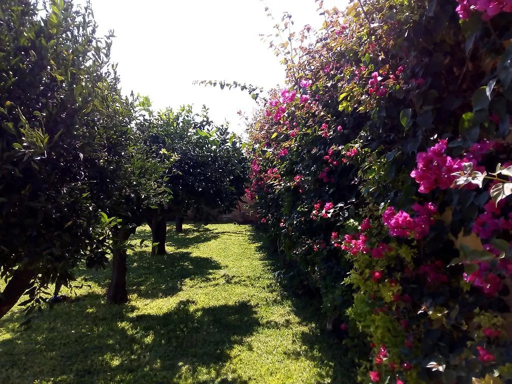 Baglio Olivastro Bed & Breakfast Digerbato